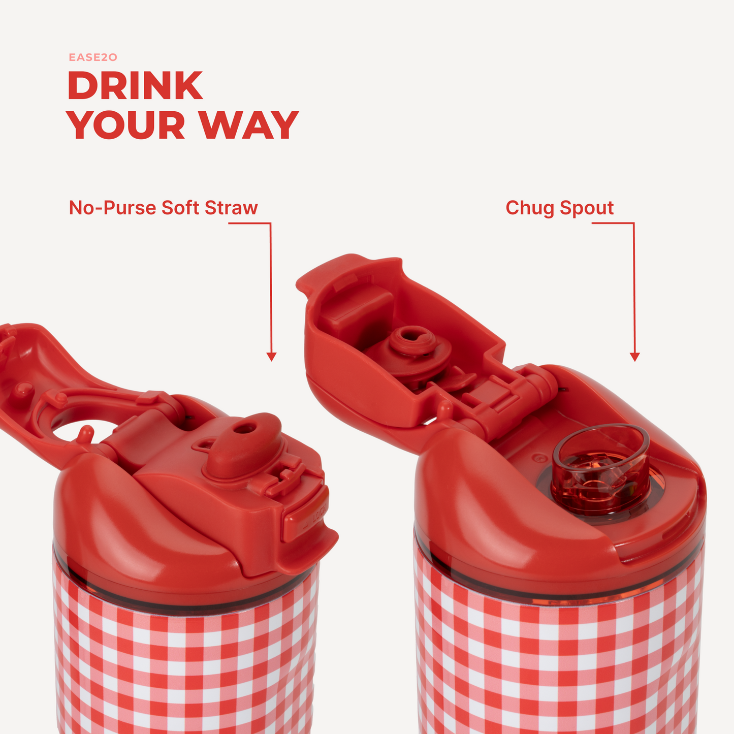 summer-picnic-f5 Ease24-SummerPicnic-3WPI.png