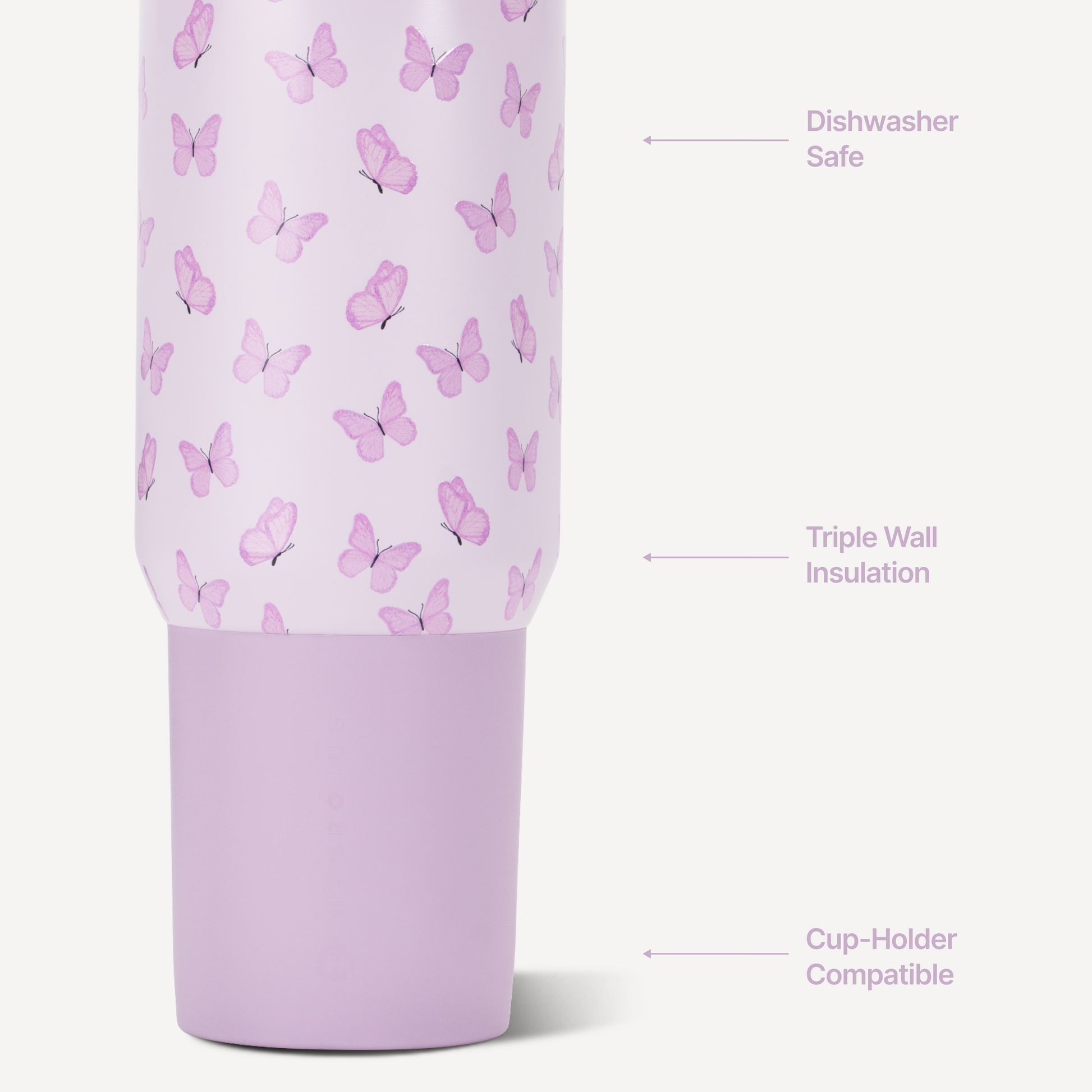 flutter-t5 Sport20-Flutter-3-WPI.png