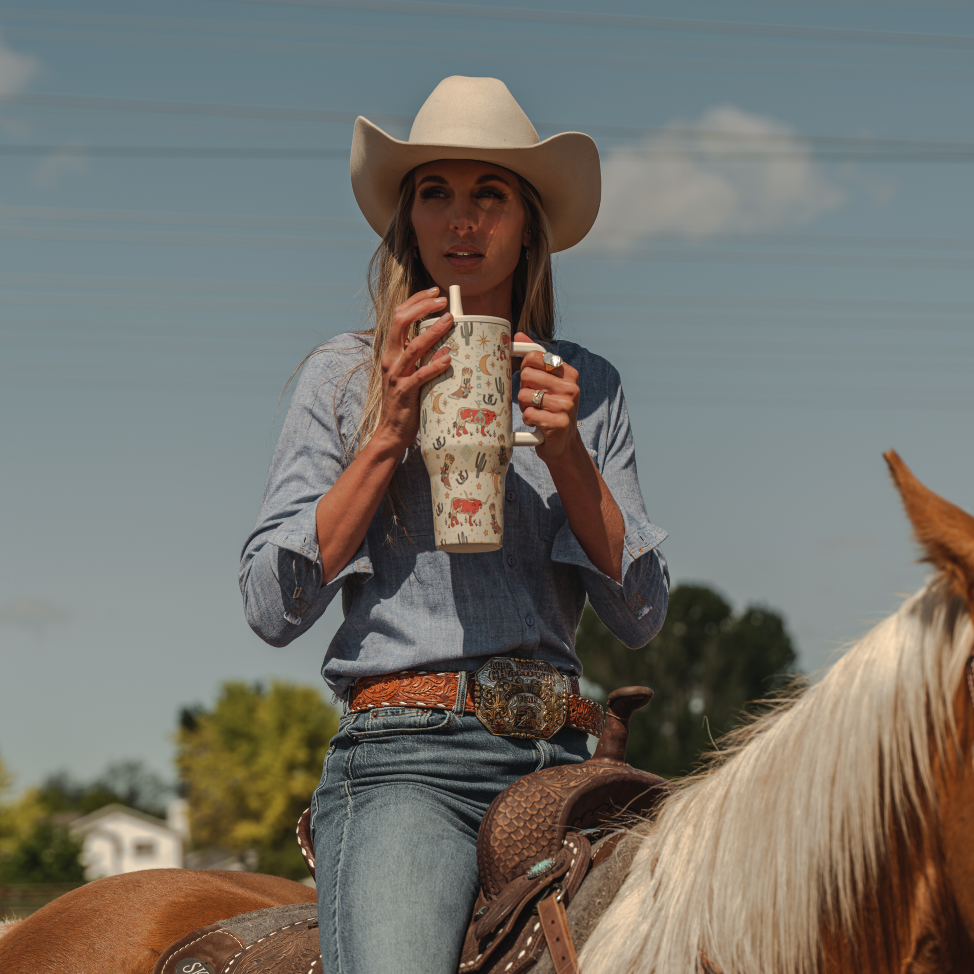 rodeo-n6 TRVL-Rodeo-6WPI.png